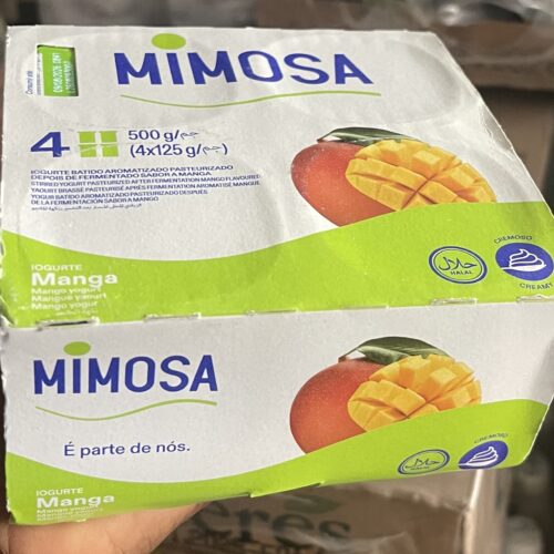 MIMOSA YOGURT